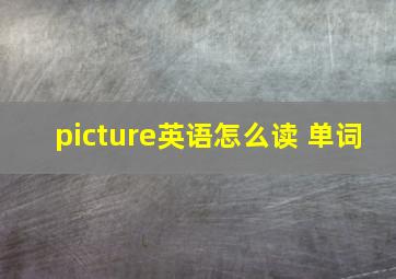 picture英语怎么读 单词